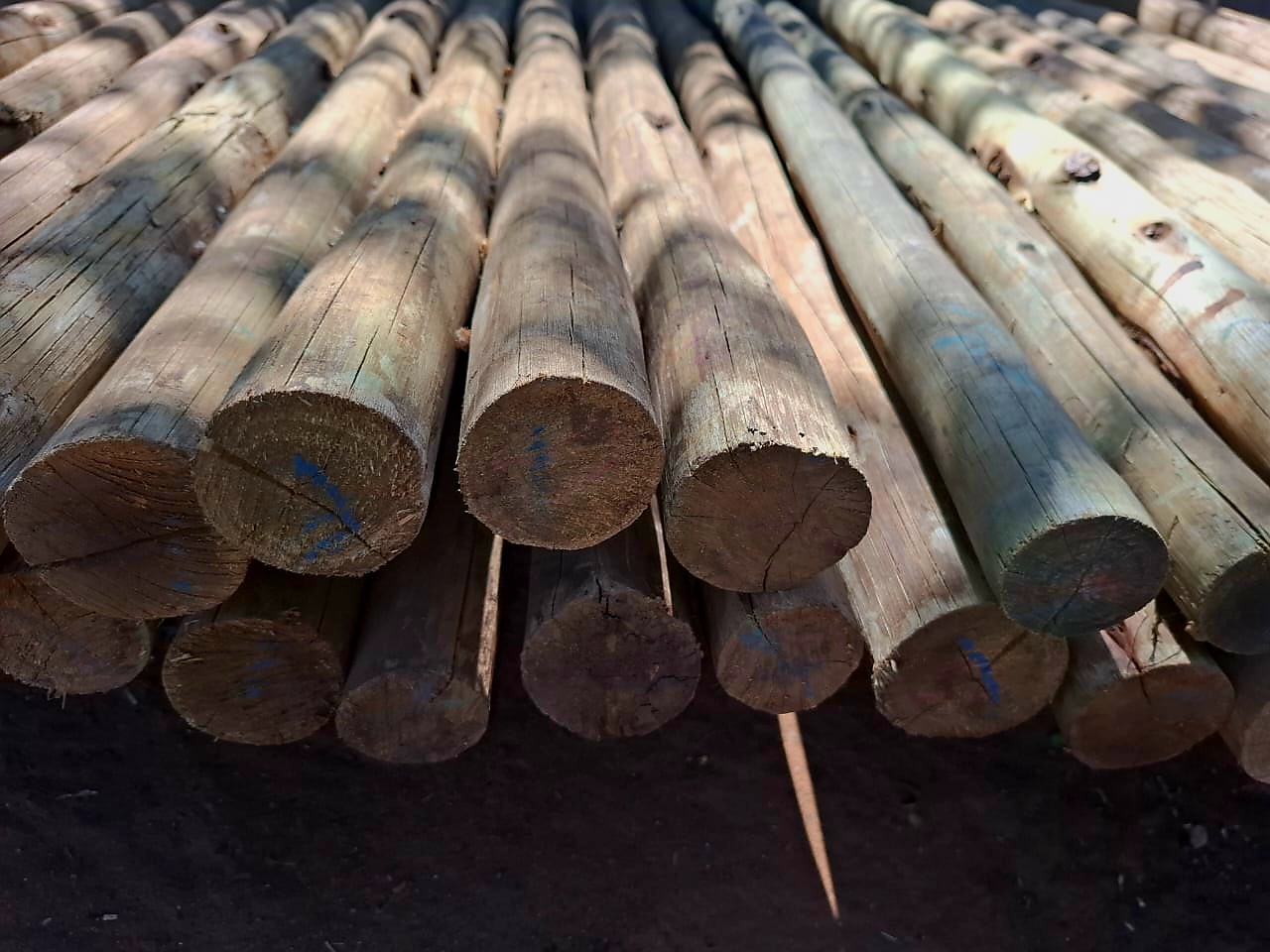  CCA Treated Poles